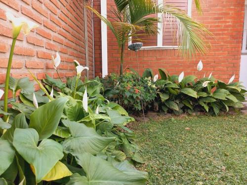 un jardín de plantas junto a un edificio de ladrillo en Aeropuerto a 5' y Ruta del Vino a 100 mts en Salta