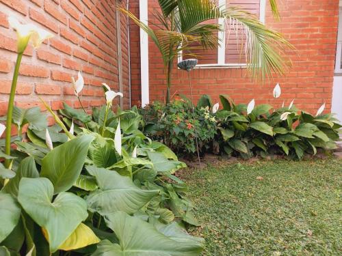 a garden of plants next to a brick building at Aeropuerto a 5' y Ruta del Vino a 100 mts in Salta