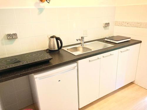 Apartment & Monteurzimmer في فيينا: مطبخ صغير مع حوض وموقد