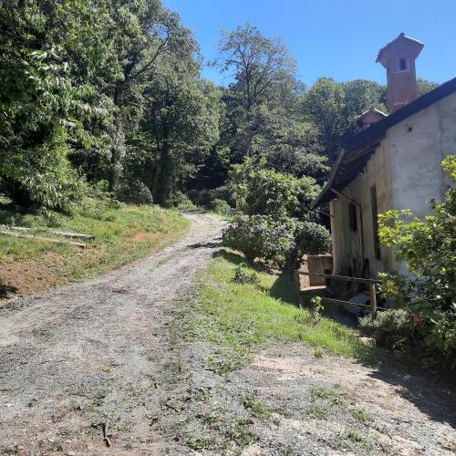 a dirt road next to a house and a building at CascinaMirta in Andorno Micca