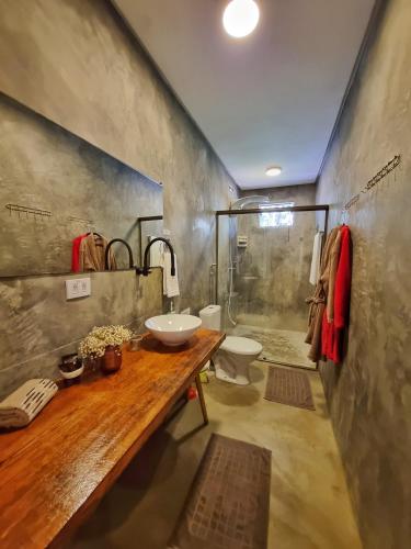 a bathroom with a sink and a toilet and a shower at Morada dos Saguis in Alto Paraíso de Goiás