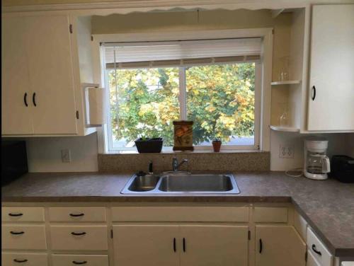 a kitchen with a sink and a window at Sweet Sage House (Pets, Airport, Downtown, I-15) in Idaho Falls