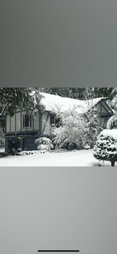 Cozy Bird house w Big screen! – Photos 2