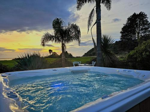 eine Whirlpool-Badewanne mit Blick auf eine Palme in der Unterkunft Summerspring Beachfront Accommodation in Takaka