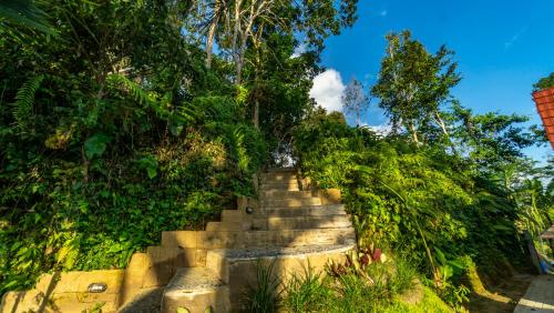 a set of stairs leading up a hill with trees at Anja Villas Ubud in Tegalalang