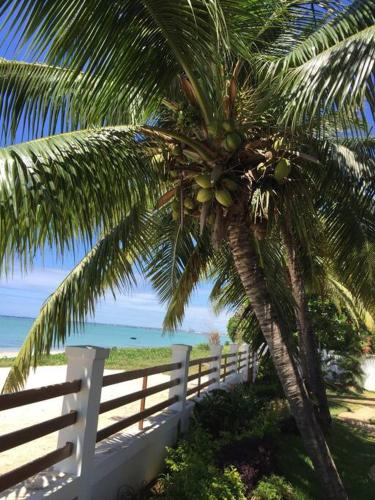 a palm tree next to a white fence near the beach at Villa luxueuse - Pointe aux Sables in Pointe aux Sable