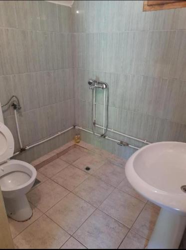 een badkamer met een toilet en een wastafel bij Villat Mulliri in Peje