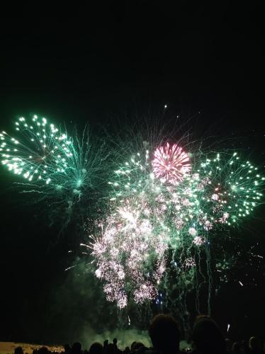 a group of people watching fireworks in the sky at maison angles in Angles