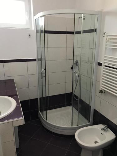 a bathroom with a shower and a toilet and a sink at Cazare barlad in Bîrlad