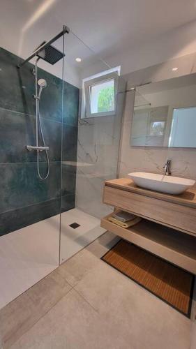 une salle de bain avec une douche en verre et un lavabo dans l'établissement Panoramic sea view, à Saint-Peïre-sur-Mer