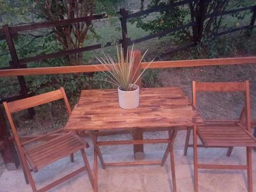 a wooden table with two chairs and a potted plant at LA TANA DELLA VOLPETTA - Bed & Breakfast in Stella
