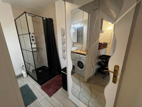een badkamer met een douche en een wasmachine bij L'escale Grignoise in Grigny