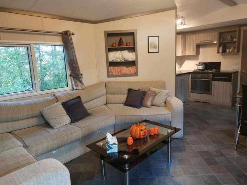 - un salon avec un canapé et une table dans l'établissement Au cœur de la nature, à Olloy-sur-Viroin