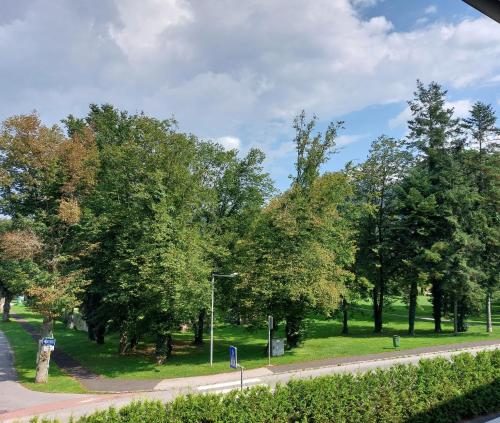 un parc avec des arbres sur le côté d'une route dans l'établissement Idyllische Vorstadtwohnung mit direktem Parkblick, 
