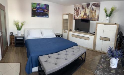 sypialnia z łóżkiem, kanapą i telewizorem w obiekcie Apartment IRON CUBE w Pradze
