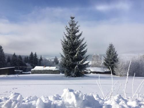 a christmas tree in the snow next to a pile of snow at Apartmány HÁJOVNA Lipno in Loučovice
