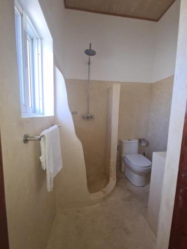 a bathroom with a shower and a toilet at Linda's Little Lincoln in Watamu