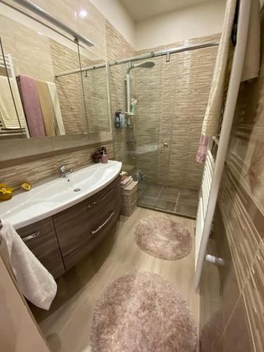 ein Badezimmer mit einer Dusche, einem Waschbecken und einer Badewanne in der Unterkunft Robert's Apartment in Celje