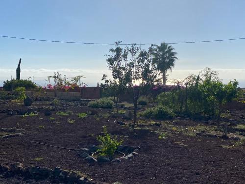 Zahrada ubytování Finca Arcoíris Tenerife VV