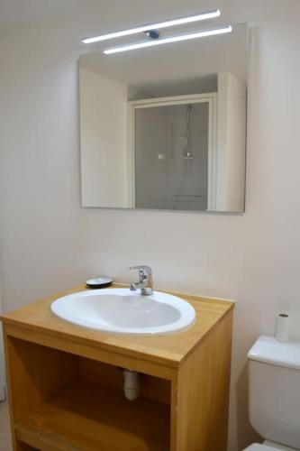 une salle de bain avec un lavabo et un miroir dans l'établissement Le Cocon Filaterie, à Annecy