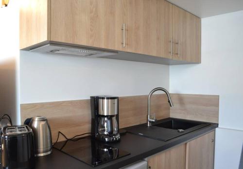 - une cuisine avec un évier et une cafetière sur un comptoir dans l'établissement Le Cocon Filaterie, à Annecy