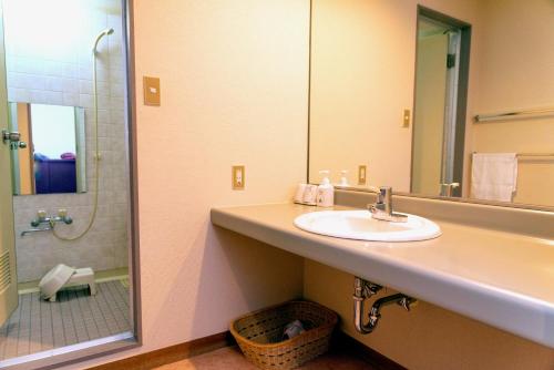 Koupelna v ubytování Yuzawa Toei Hotel