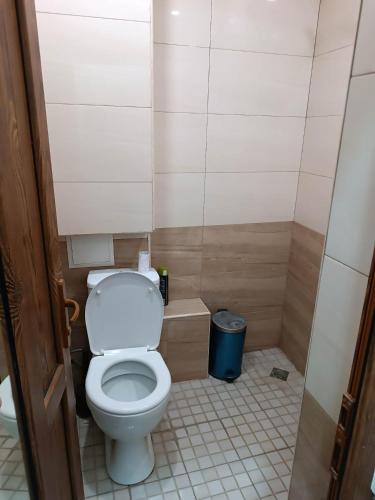 a small bathroom with a toilet and a trash can at Arev guesthouse Goris in Goris
