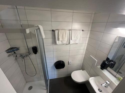 y baño con ducha, aseo y lavamanos. en Hotel de ville d'Yvonand en Yvonand