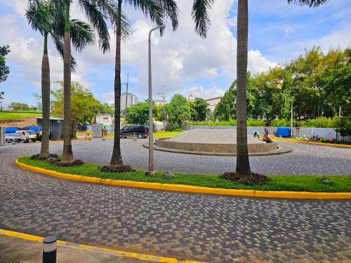 マニラにあるAcellyne's Suites at The Residences at Commonwealth by Centuryの通りのヤシの木