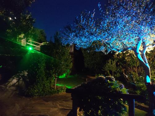 La Portilla de Cabezo في Cabezo: شجرة عليها أضواء عيد الميلاد في الليل