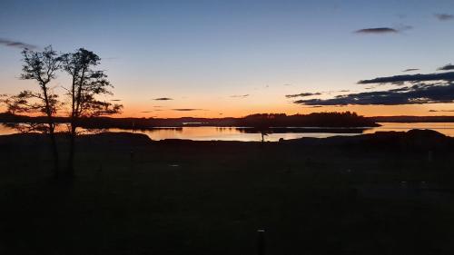 a sunset over a lake with a tree in the foreground at Langeby Camping in Sandefjord