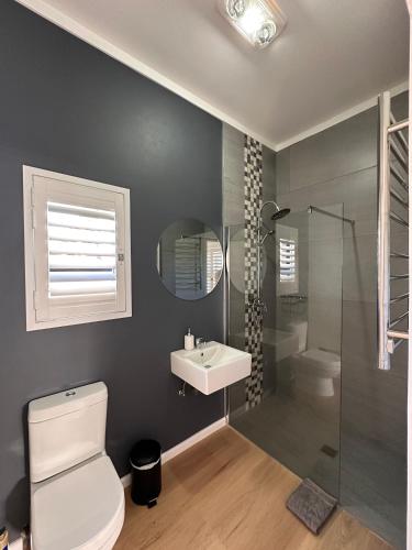 a bathroom with a toilet and a sink and a shower at Lorelei Guest House in George