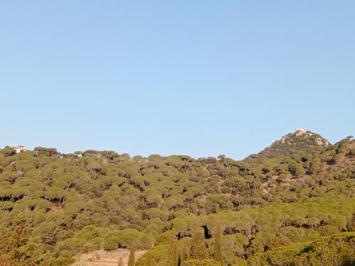 Fotografie z fotogalerie ubytování Alberg Cabrera de Mar Xanascat v destinaci Cabrera de Mar