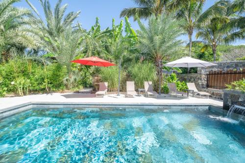 una piscina con sillas, sombrilla y palmeras en Ô Ruisseau Lodge lodge Cocotier, en Saint-Louis