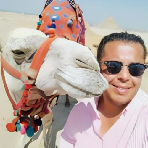a man standing next to a camel in the desert at Crystal pyramid inn in Cairo