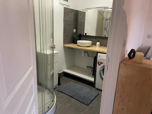 une salle de bain avec un lavabo et une machine à laver dans l'établissement Gîte La Baz en centre-ville d'un village du Perche - La Bazoche-Gouet, à La Bazoche-Gouet