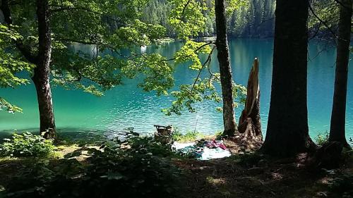 a view of a body of water with trees at Apartments Blažič in Kranjska Gora