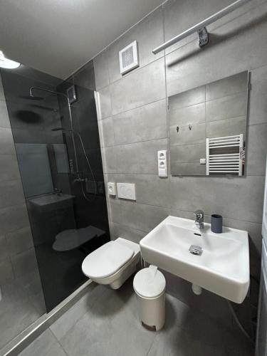 a bathroom with a toilet and a sink at Apartmány Formanka na náměstí in Hustopeče