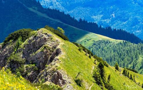 a mountain with green grass and trees on it at Apartments Blažič in Kranjska Gora