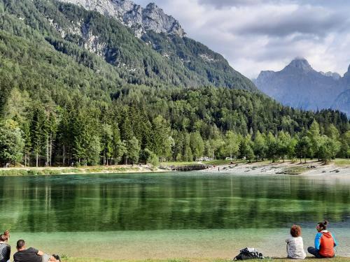 a group of people sitting on the grass near a lake at Apartments Blažič in Kranjska Gora