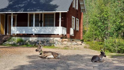 Riekko Chalet – Photos 5