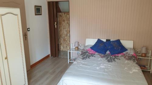 a bedroom with a white bed with blue pillows at Verdure tourangelle in Azay-sur-Cher