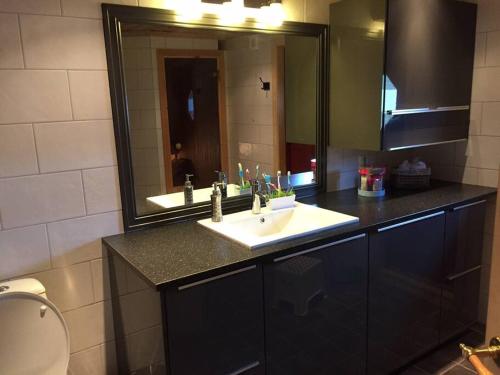 ein Badezimmer mit einem Waschbecken und einem großen Spiegel in der Unterkunft Bjørnehuset in Sønstebø