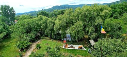 Afbeelding uit fotogalerij van Cozy wooden house in Buzau