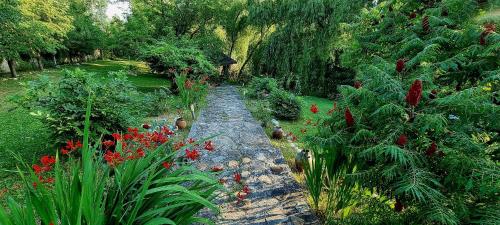 Afbeelding uit fotogalerij van Cozy wooden house in Buzau