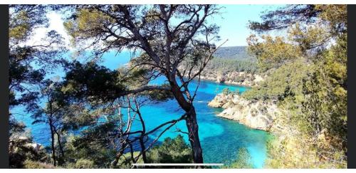 uma vista para um rio com água azul e árvores em Dream House & Spa Bandol - Céline et Olivier em Bandol