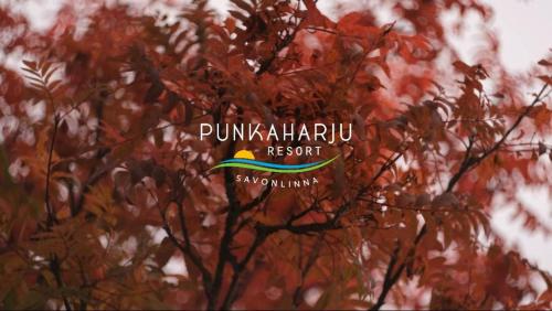 Sijil, anugerah, tanda atau dokumen lain yang dipamerkan di Punkaharju Resort