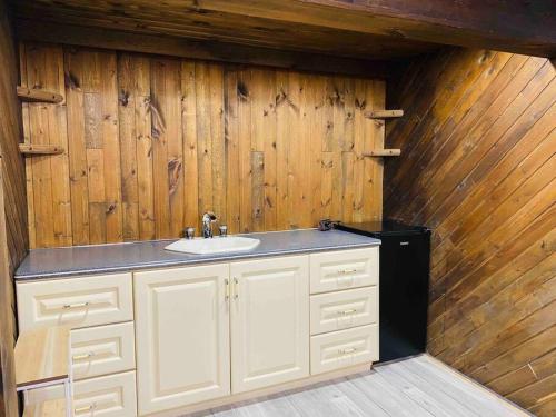 a bathroom with a sink and a wooden wall at HIDDEN GEM near the Niagara falls in Welland