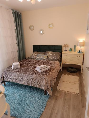 Appartements F3 Design Colmar+parking free