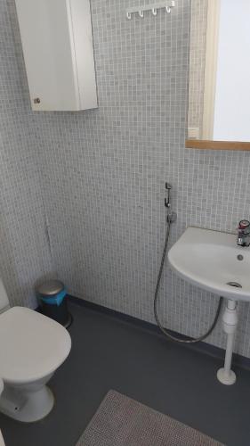 Łazienka z białą toaletą i umywalką w obiekcie Apartment in Kauhajoki, Yrjöntie 10 w mieście Kauhajoki